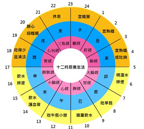 十二時辰養生對照表|十二時辰經絡養生對照表 十二時辰對應五行